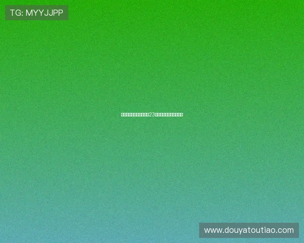 光影流转，梦想启航：第23届东京电影节的璀璨星河