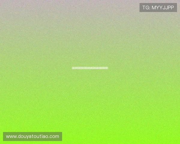 《数码兽最前线》:重燃童年热血,定义新世代冒险! 《数码兽最前线》:重燃童年热血,定义新世代冒险!