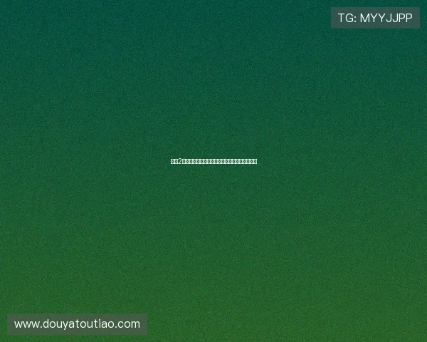 斗鱼2：不止是游戏，更是你我的青春回忆与未来畅想