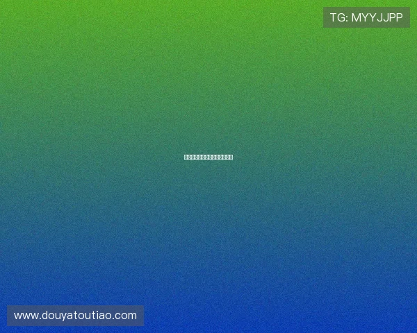 浴血边城：守望黎明，不屈之魂